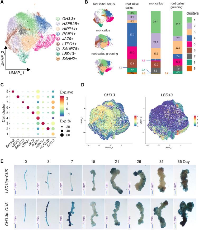 https://cdn.ncbi.nlm.nih.gov/pmc/blobs/2ee3/12431987/d5696e5c0629/44154_2025_255_Fig3_HTML.jpg