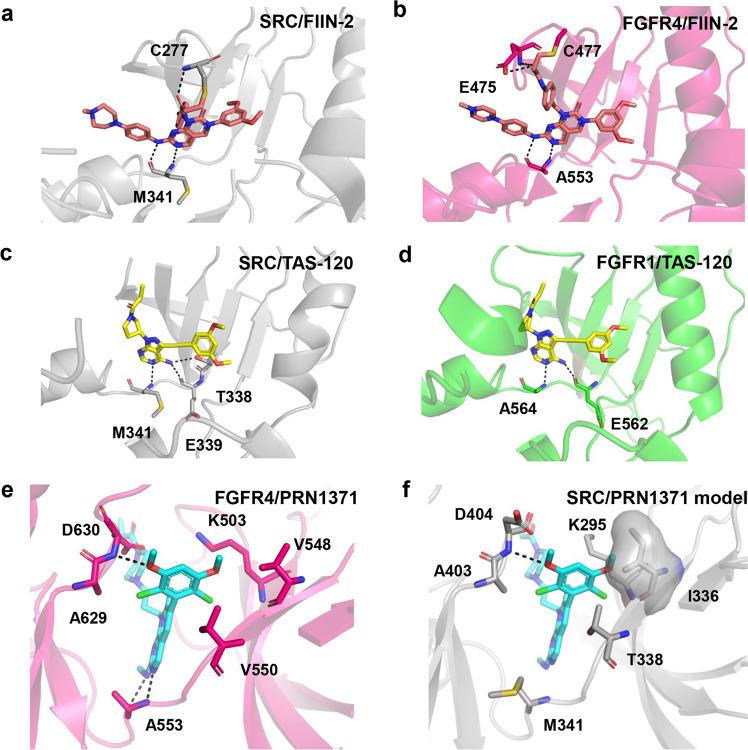 https://cdn.ncbi.nlm.nih.gov/pmc/blobs/2ee3/9814232/d8041357c08c/42004_2021_623_Fig5_HTML.jpg