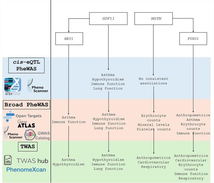 https://cdn.ncbi.nlm.nih.gov/pmc/blobs/2ee4/11378601/324aa46074c7/12864_2024_10710_Fig5_HTML.jpg