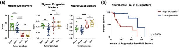 https://cdn.ncbi.nlm.nih.gov/pmc/blobs/2ee4/9541221/d305739ee5d3/PCMR-35-539-g003.jpg
