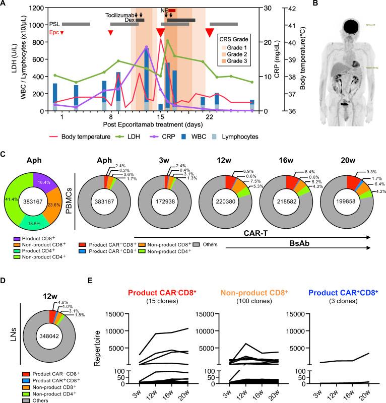 https://cdn.ncbi.nlm.nih.gov/pmc/blobs/2ee6/12198839/e032421262cc/jitc-13-6-g002.jpg
