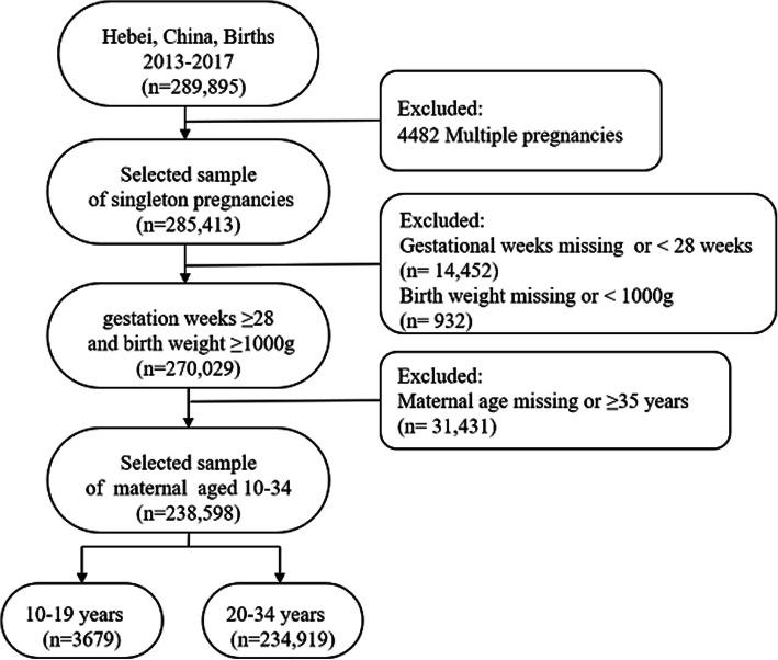 https://cdn.ncbi.nlm.nih.gov/pmc/blobs/2ee6/7268722/3d5a6b3354c3/12884_2020_3022_Fig1_HTML.jpg