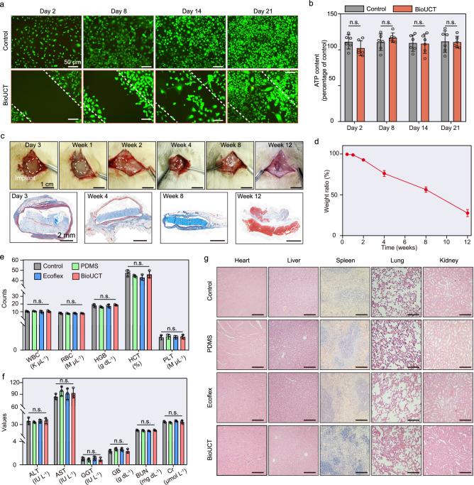 https://cdn.ncbi.nlm.nih.gov/pmc/blobs/2ee8/12379289/4a4a48190a1f/41467_2025_63310_Fig4_HTML.jpg