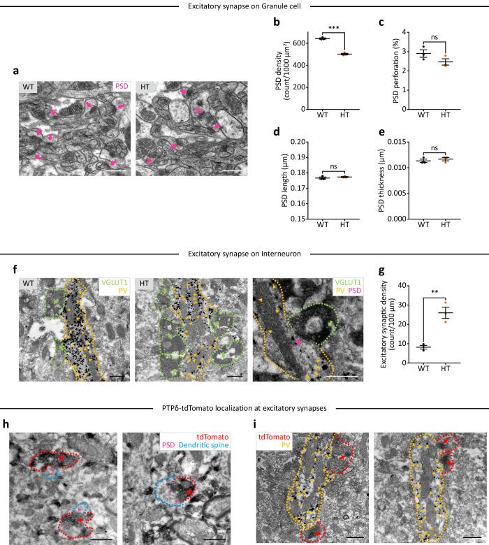 https://cdn.ncbi.nlm.nih.gov/pmc/blobs/2ee9/12075705/15fc76a70166/41467_2025_59685_Fig3_HTML.jpg