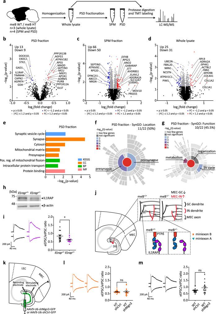 https://cdn.ncbi.nlm.nih.gov/pmc/blobs/2ee9/12075705/27398bb4ef59/41467_2025_59685_Fig5_HTML.jpg