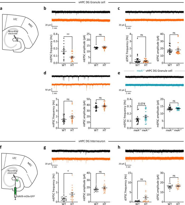 https://cdn.ncbi.nlm.nih.gov/pmc/blobs/2ee9/12075705/75ab472d997c/41467_2025_59685_Fig2_HTML.jpg