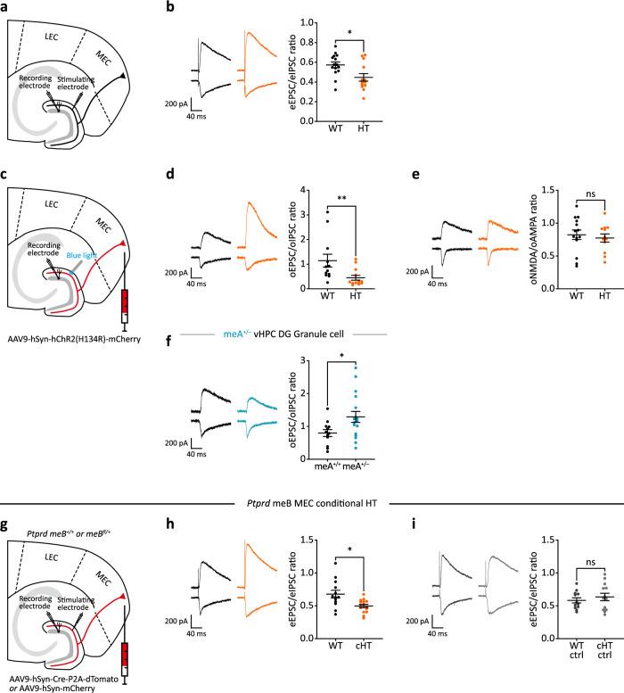 https://cdn.ncbi.nlm.nih.gov/pmc/blobs/2ee9/12075705/f74586dd7645/41467_2025_59685_Fig4_HTML.jpg