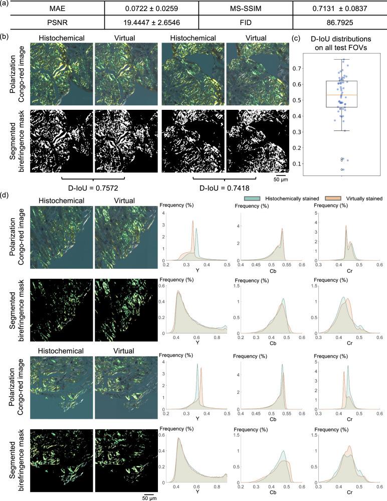 https://cdn.ncbi.nlm.nih.gov/pmc/blobs/2eea/11393327/d738bccd7b23/41467_2024_52263_Fig5_HTML.jpg
