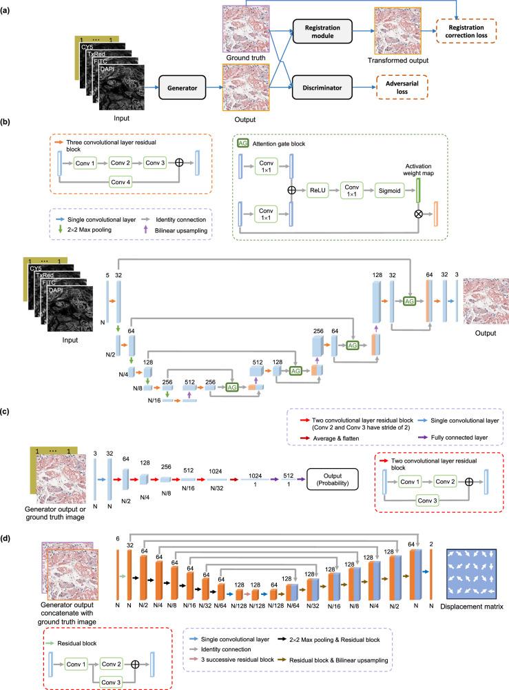 https://cdn.ncbi.nlm.nih.gov/pmc/blobs/2eea/11393327/d9d9177a9688/41467_2024_52263_Fig7_HTML.jpg