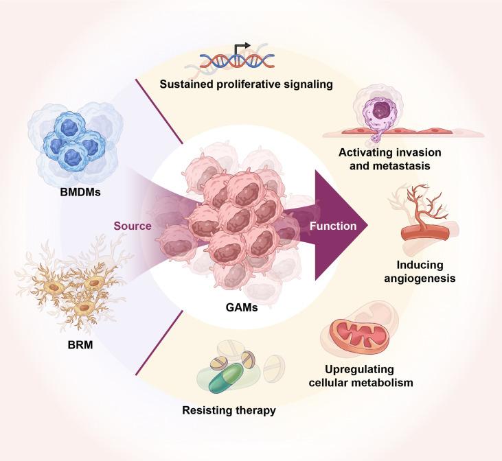https://cdn.ncbi.nlm.nih.gov/pmc/blobs/2eea/9582955/9167e2ba27db/fimmu-13-974996-g001.jpg