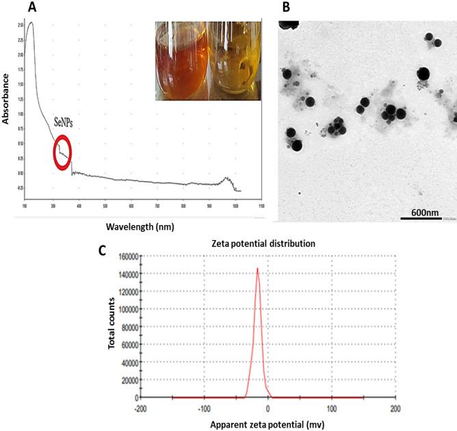 https://cdn.ncbi.nlm.nih.gov/pmc/blobs/2eec/10827740/097f31dfc7fc/41598_2024_52982_Fig2_HTML.jpg
