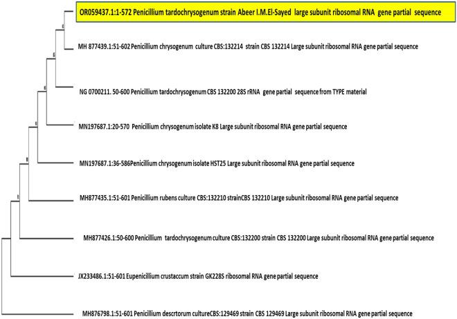 https://cdn.ncbi.nlm.nih.gov/pmc/blobs/2eec/10827740/b246786175de/41598_2024_52982_Fig1_HTML.jpg