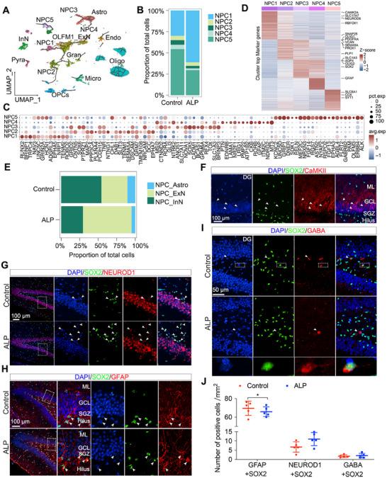 https://cdn.ncbi.nlm.nih.gov/pmc/blobs/2eec/11910145/bef9c935c3ab/MCO2-6-e70114-g005.jpg