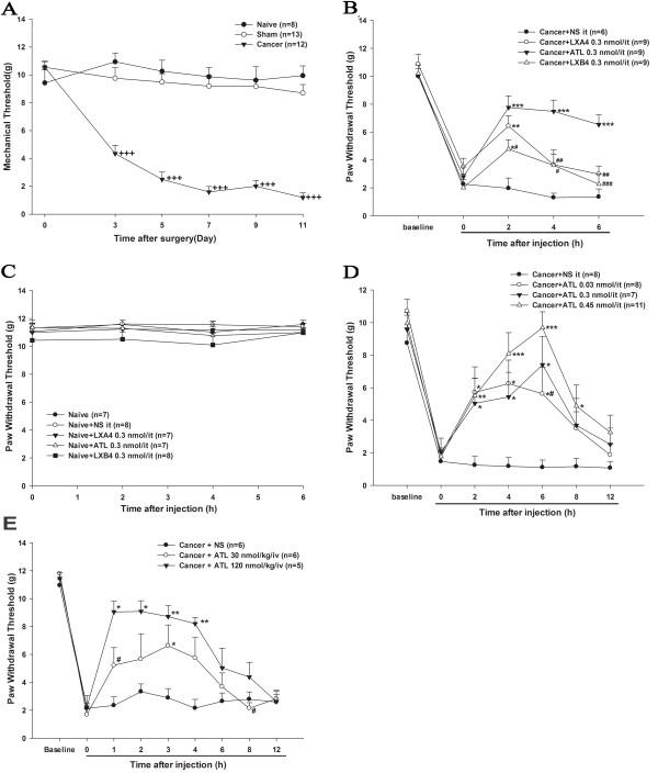 https://cdn.ncbi.nlm.nih.gov/pmc/blobs/2eec/3558391/4f1e65796066/1742-2094-9-278-1.jpg