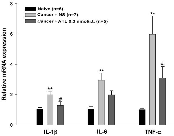 https://cdn.ncbi.nlm.nih.gov/pmc/blobs/2eec/3558391/f925ff60cbc0/1742-2094-9-278-6.jpg