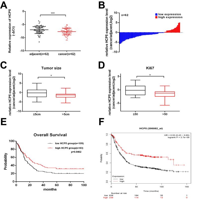 https://cdn.ncbi.nlm.nih.gov/pmc/blobs/2eec/7893594/12afb8407aac/ijbsv17p0623g001.jpg