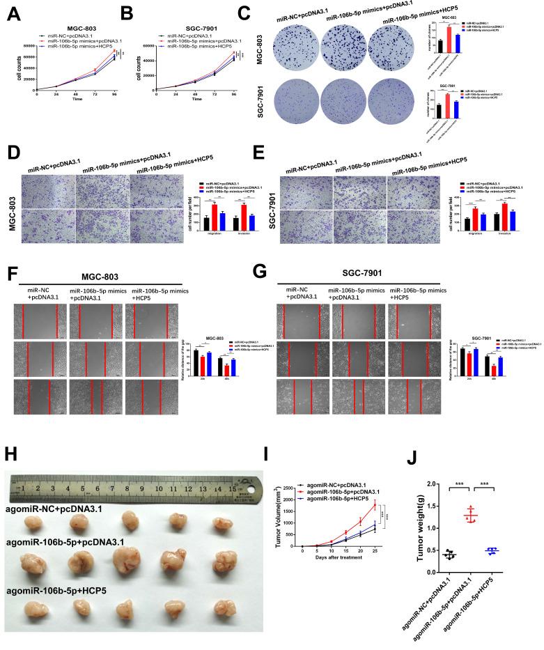 https://cdn.ncbi.nlm.nih.gov/pmc/blobs/2eec/7893594/407ea8f55f75/ijbsv17p0623g006.jpg