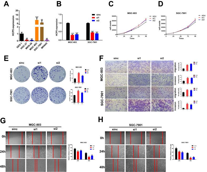 https://cdn.ncbi.nlm.nih.gov/pmc/blobs/2eec/7893594/dc7fdd5d5660/ijbsv17p0623g002.jpg