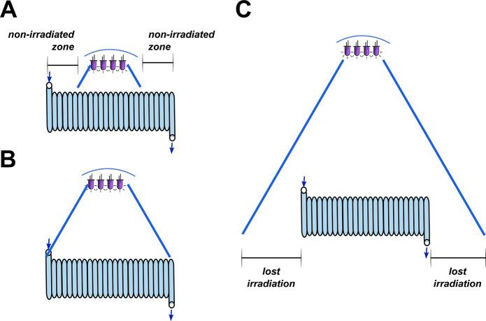 https://cdn.ncbi.nlm.nih.gov/pmc/blobs/2eec/8796205/6e70d20e5800/cr1c00332_0003.jpg