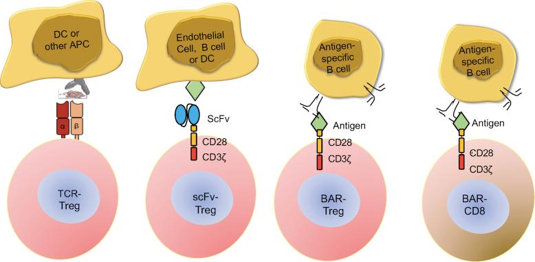 https://cdn.ncbi.nlm.nih.gov/pmc/blobs/2eee/6953701/bafd41bc9ee0/gr1.jpg