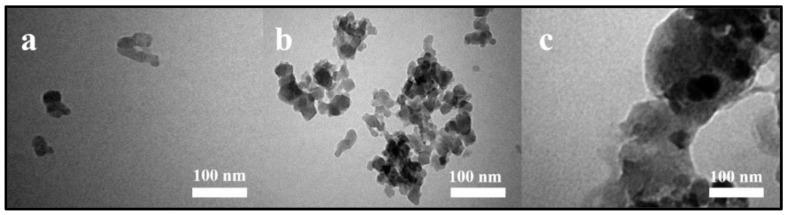 https://cdn.ncbi.nlm.nih.gov/pmc/blobs/2eee/7700689/b0148d218ae3/nanomaterials-10-02320-g006.jpg