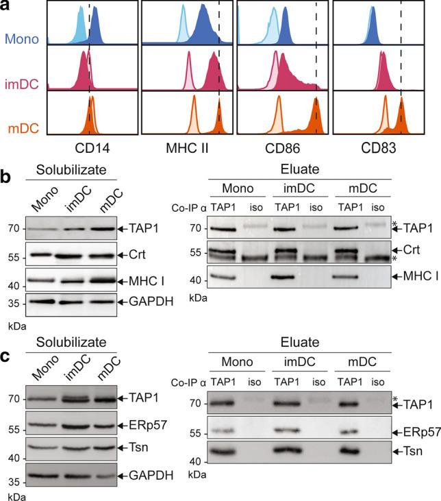 https://cdn.ncbi.nlm.nih.gov/pmc/blobs/2eef/11071925/11504c5a2d51/18_2022_4472_Fig1_HTML.jpg