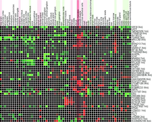 https://cdn.ncbi.nlm.nih.gov/pmc/blobs/2eef/1160227/362f9762b021/gki466f2.jpg