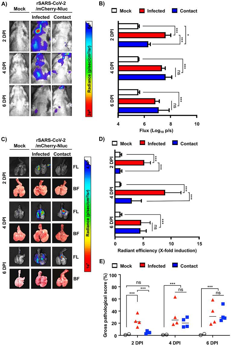 https://cdn.ncbi.nlm.nih.gov/pmc/blobs/2eef/9603146/5df2e4e254f8/spectrum.02379-22-f008.jpg