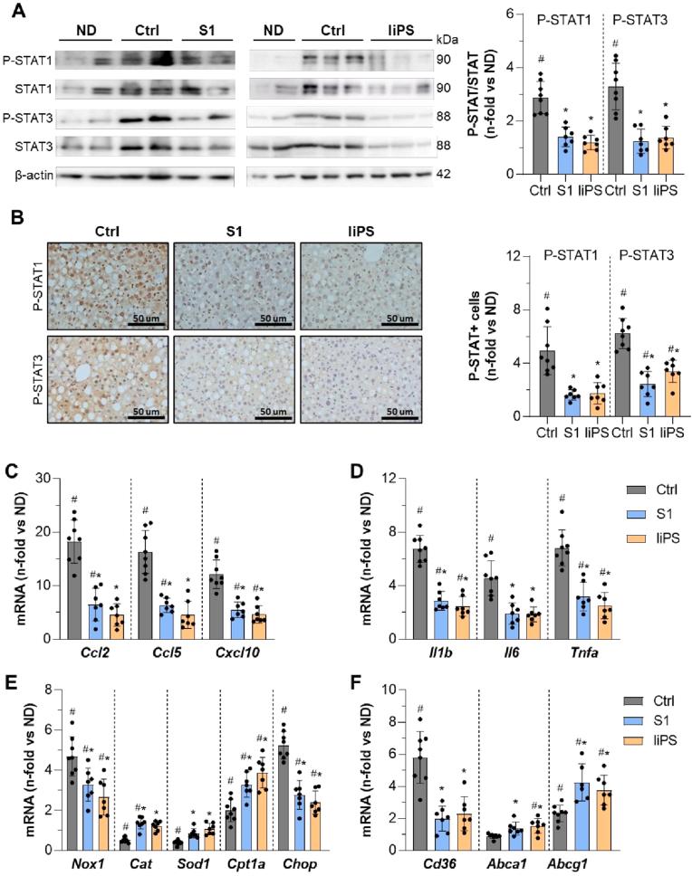 https://cdn.ncbi.nlm.nih.gov/pmc/blobs/2ef1/12144417/6c2ad8b5da11/gr2.jpg
