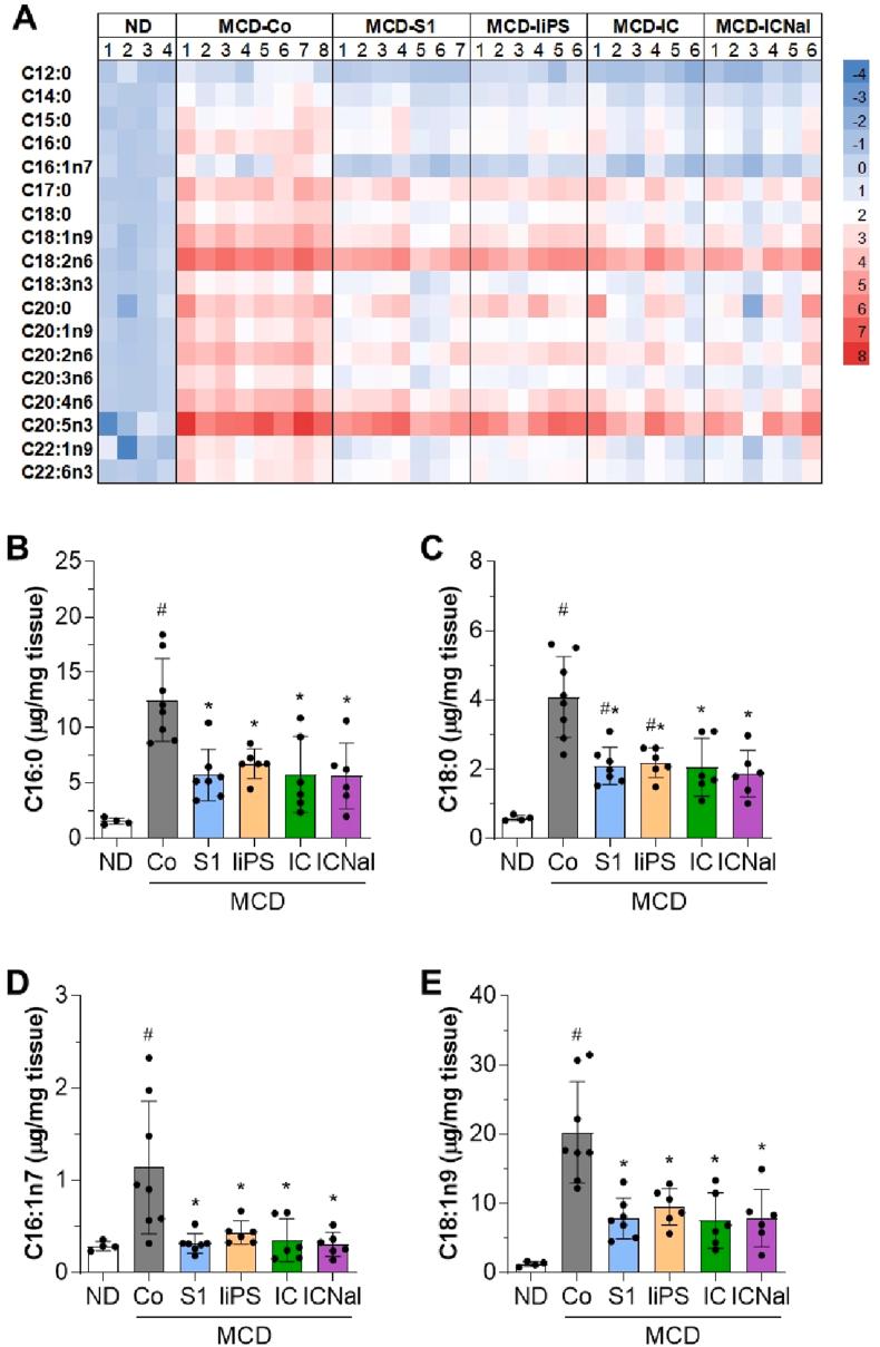 https://cdn.ncbi.nlm.nih.gov/pmc/blobs/2ef1/12144417/70ec749654ea/gr4.jpg