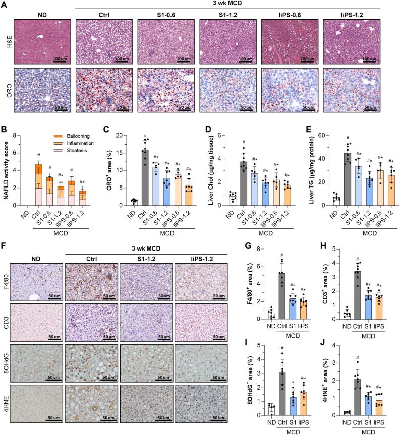 https://cdn.ncbi.nlm.nih.gov/pmc/blobs/2ef1/12144417/7c8ddae95261/gr1.jpg