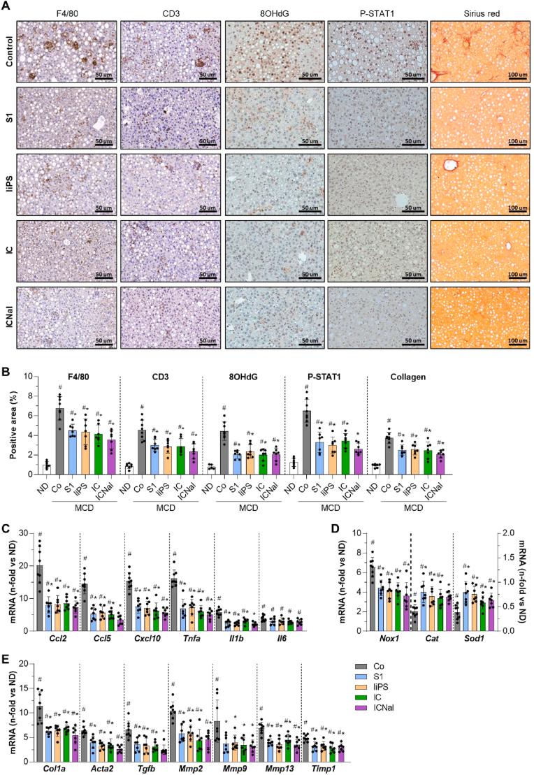 https://cdn.ncbi.nlm.nih.gov/pmc/blobs/2ef1/12144417/f041f0b664e0/gr5.jpg