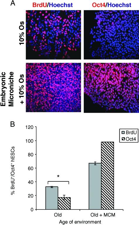 https://cdn.ncbi.nlm.nih.gov/pmc/blobs/2ef1/2063610/1605e2c5b901/ace0006-0371-f3.jpg