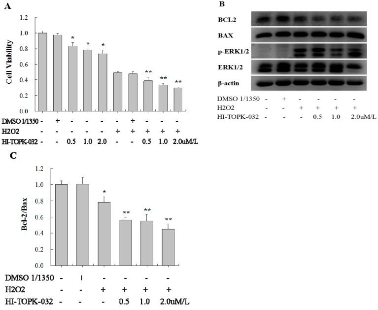 https://cdn.ncbi.nlm.nih.gov/pmc/blobs/2ef1/4813131/ea1d4a32e963/ijms-17-00267-g004.jpg