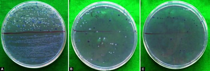 https://cdn.ncbi.nlm.nih.gov/pmc/blobs/2ef1/9016908/722ac6243a27/ijcpd-15-99-g002.jpg