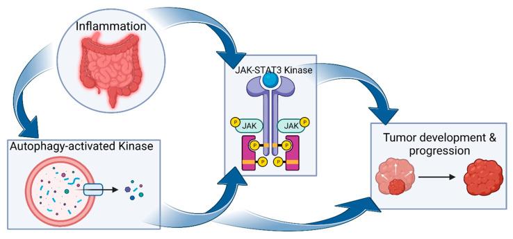 https://cdn.ncbi.nlm.nih.gov/pmc/blobs/2ef2/10669043/21a642dfdbc8/biomolecules-13-01620-g002.jpg
