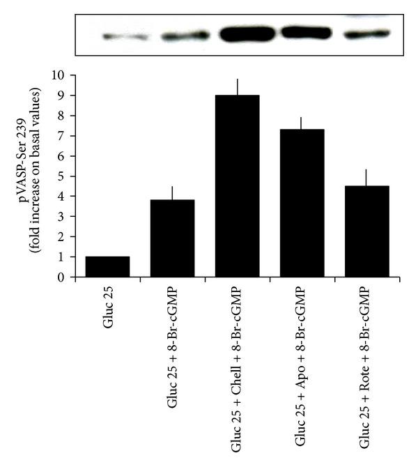 https://cdn.ncbi.nlm.nih.gov/pmc/blobs/2ef5/3981118/1c95a834402a/BMRI2014-328959.008.jpg