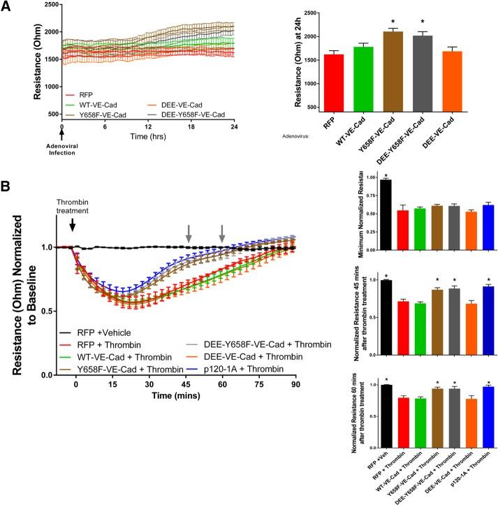 https://cdn.ncbi.nlm.nih.gov/pmc/blobs/2ef6/5221632/22df5995d71e/85fig7.jpg