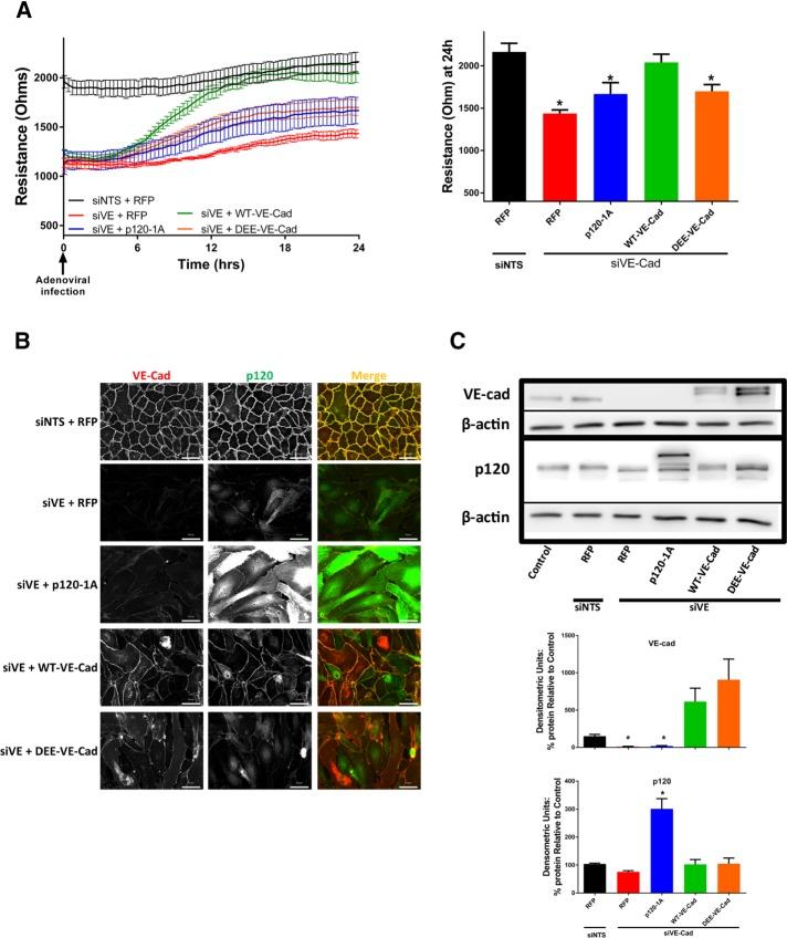 https://cdn.ncbi.nlm.nih.gov/pmc/blobs/2ef6/5221632/3530df598b0b/85fig3.jpg