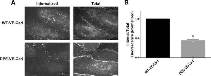 https://cdn.ncbi.nlm.nih.gov/pmc/blobs/2ef6/5221632/761667398542/85fig1.jpg