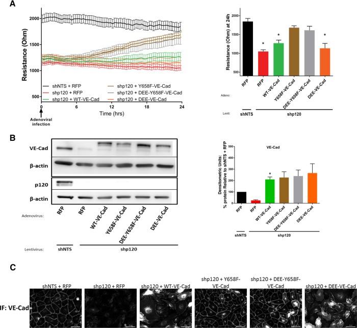 https://cdn.ncbi.nlm.nih.gov/pmc/blobs/2ef6/5221632/7cf6847f00e9/85fig6.jpg