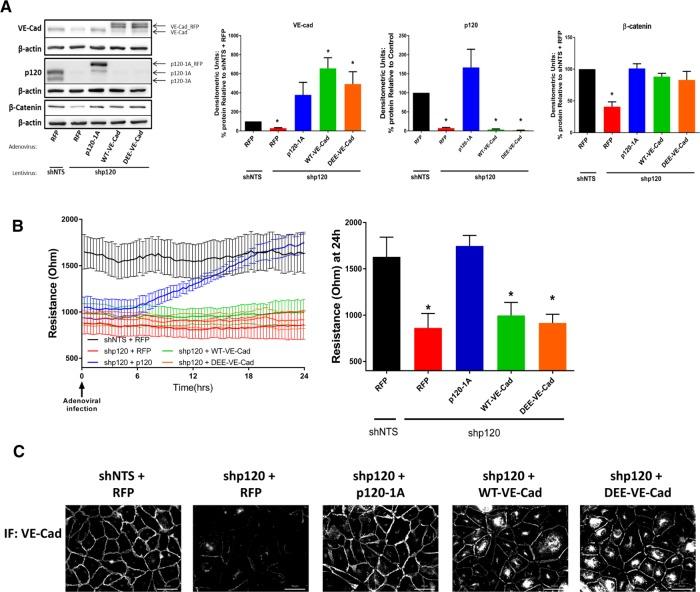 https://cdn.ncbi.nlm.nih.gov/pmc/blobs/2ef6/5221632/c0c554483c9c/85fig2.jpg