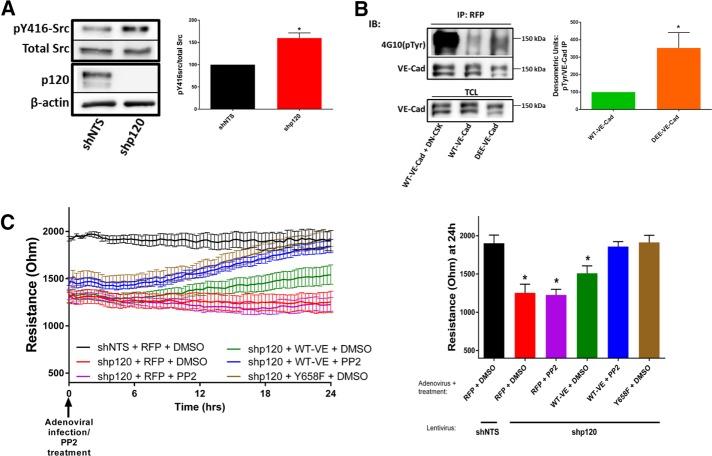 https://cdn.ncbi.nlm.nih.gov/pmc/blobs/2ef6/5221632/cfa75e680d20/85fig5.jpg