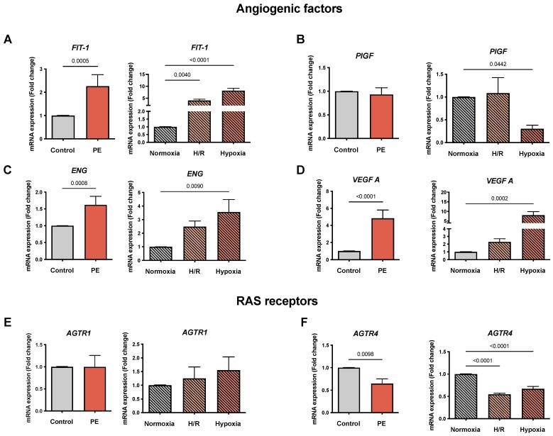 https://cdn.ncbi.nlm.nih.gov/pmc/blobs/2ef6/9221019/259abc36c3d3/cells-11-01898-g001.jpg