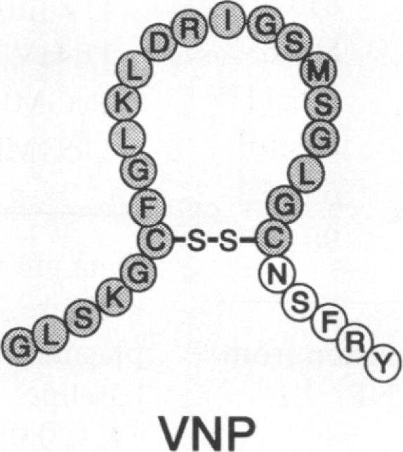 https://cdn.ncbi.nlm.nih.gov/pmc/blobs/2ef7/288373/bdee8f0d0a6f/jcinvest00042-0461-b.jpg