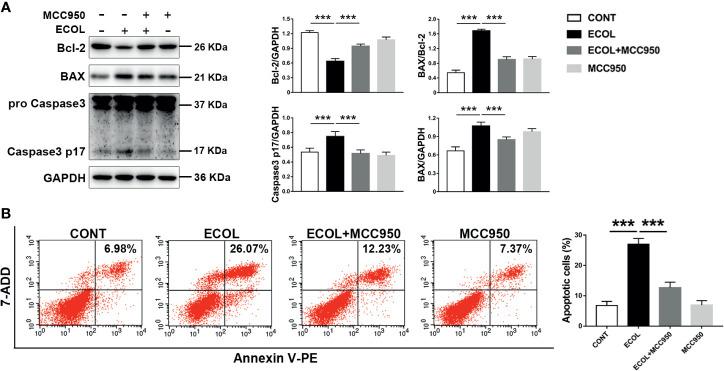 https://cdn.ncbi.nlm.nih.gov/pmc/blobs/2ef7/8476910/a0e62b1a3698/fimmu-12-715098-g007.jpg