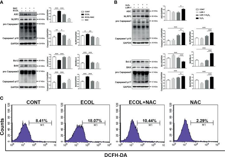 https://cdn.ncbi.nlm.nih.gov/pmc/blobs/2ef7/8476910/e23f0178c3cd/fimmu-12-715098-g006.jpg