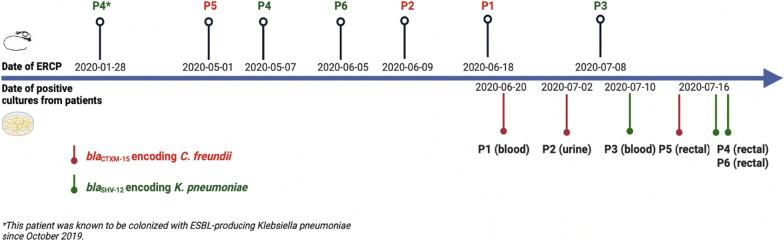 https://cdn.ncbi.nlm.nih.gov/pmc/blobs/2ef8/10924313/fbc25caa0547/13756_2024_1386_Fig1_HTML.jpg