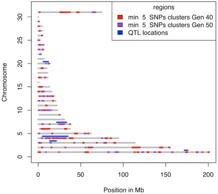 https://cdn.ncbi.nlm.nih.gov/pmc/blobs/2ef8/2973821/06651d7a3d65/pgen.1001188.g007.jpg