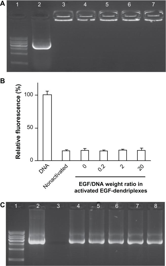 https://cdn.ncbi.nlm.nih.gov/pmc/blobs/2ef9/3428245/6660e5a09d8b/ijn-7-4625f1.jpg